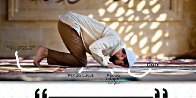 Fasal 32 : Anggota Sujud