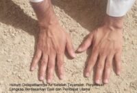 Hukum Didapatkannya Air Setelah Tayamum: Penjelasan Lengkap Berdasarkan Dalil dan Pendapat Ulama