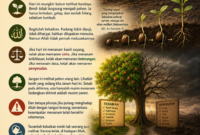 BENIH YANG TAK PERNAH BERDUSTA